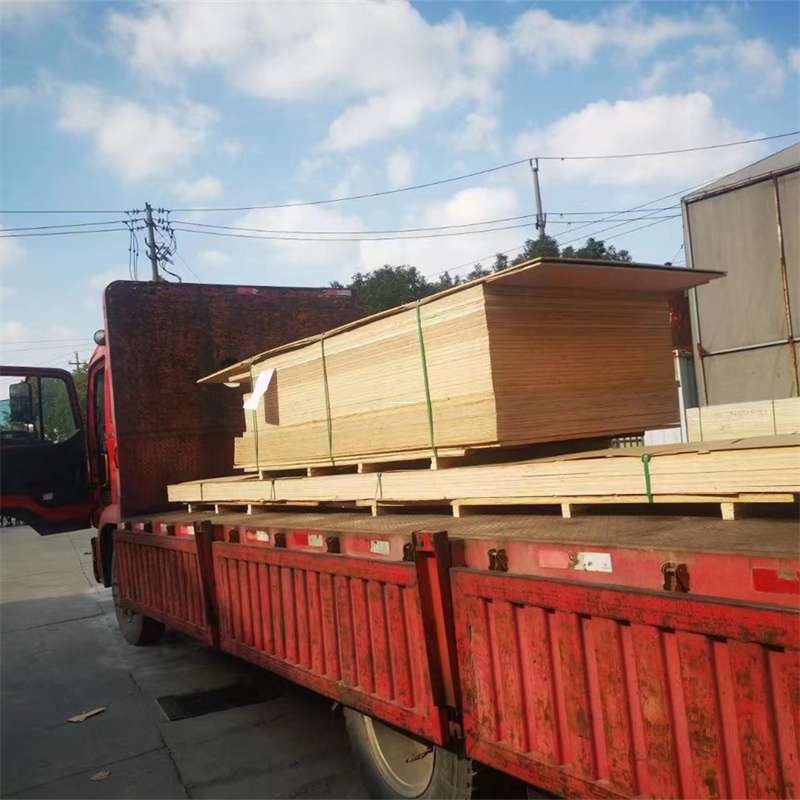 河南新乡凤泉至塔城货运专线，一站式物流服务助您成功